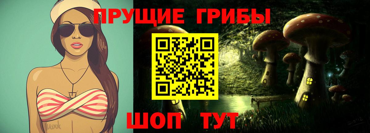 Галлюциногенные грибы MAGIC MUSHROOMS Сланцы